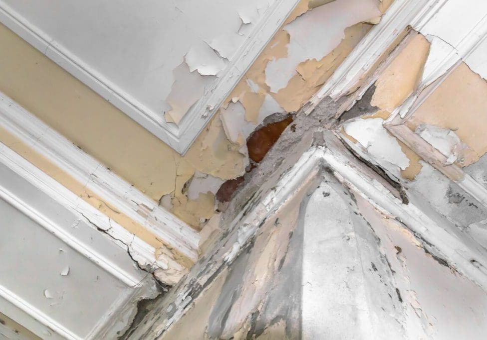 An extreme close-up of a ceiling and wall corner with severe paint peeling, cracks, and moisture damage, indicating necessary repair common exterior paint problems